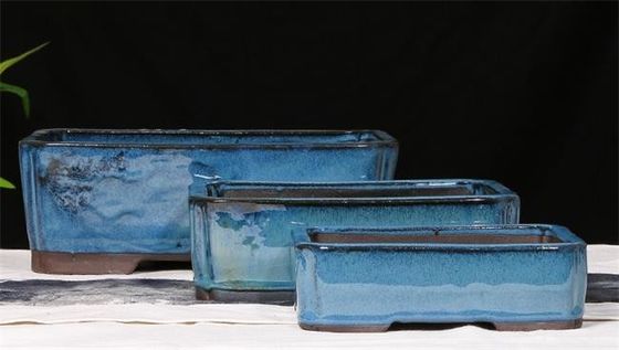 Niebieskie ceramiczne doniczki Bonsai o wymiarach 30,3 cm x 21,6 cm x 10,5 cm